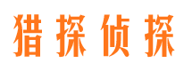 雁山市侦探公司